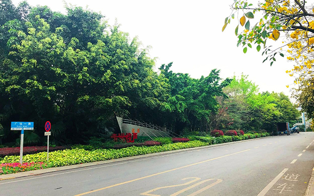 1583928362952009.jpg 6.jpg